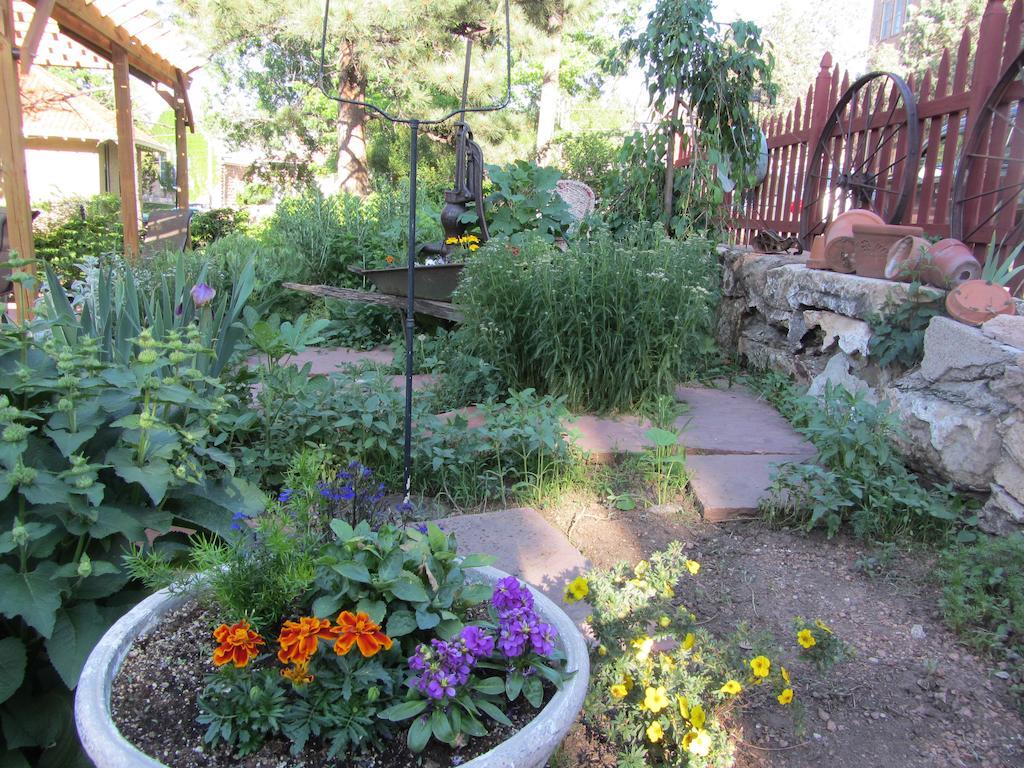 Avenue Hotel Bed And Breakfast Manitou Springs Exteriér fotografie